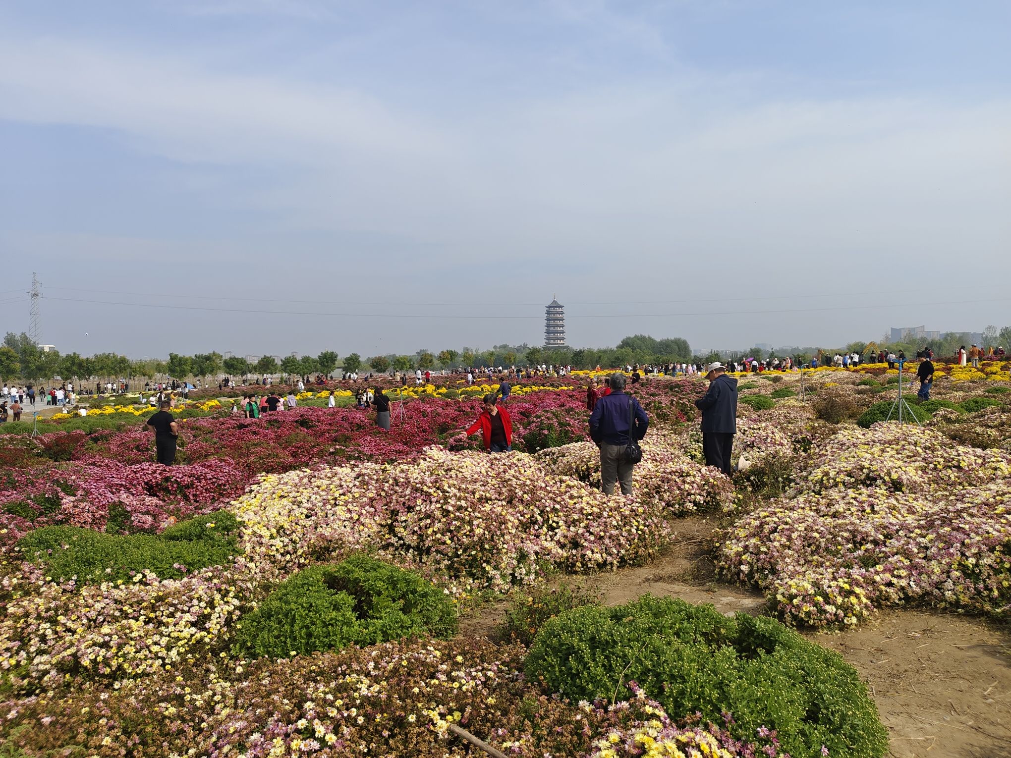 雄安未来公园旅行图片 1