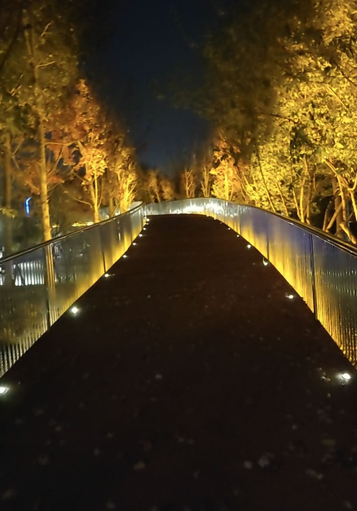 雄安未来公园旅行图片 1