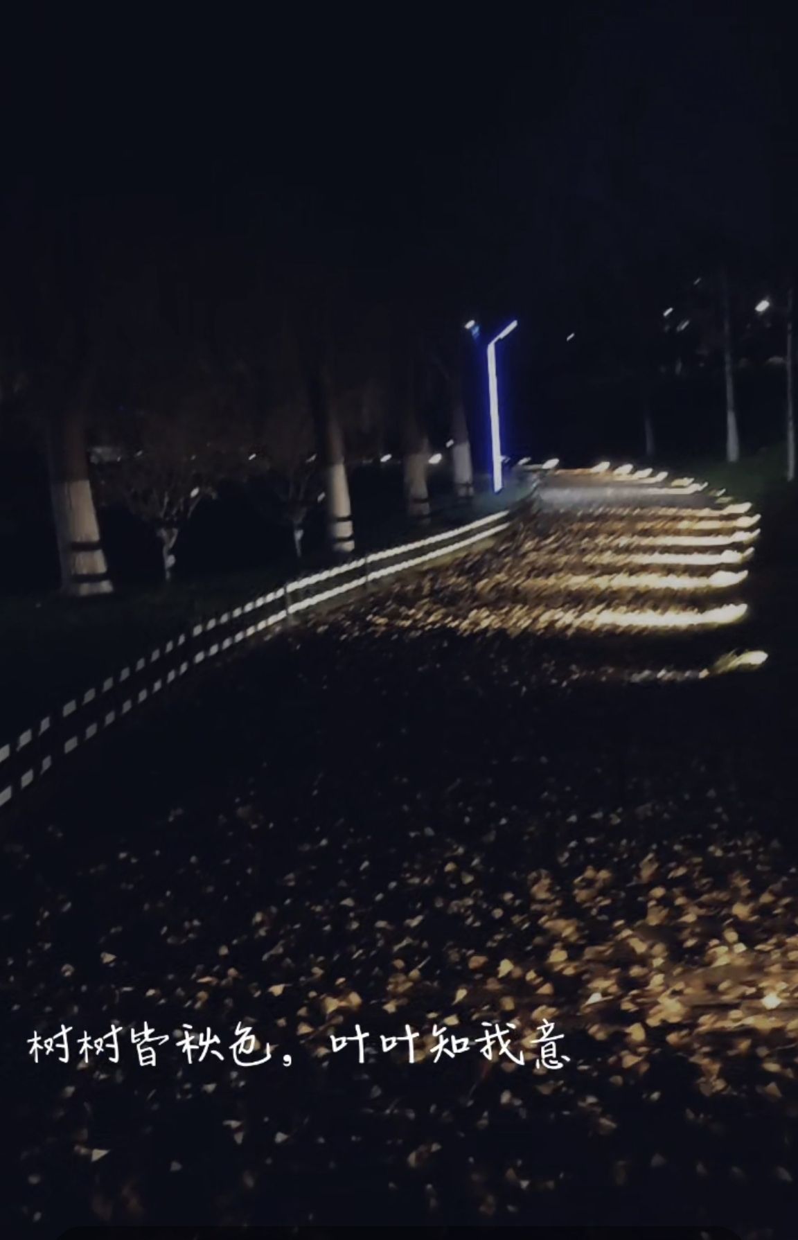 雄安未来公园旅行图片 2