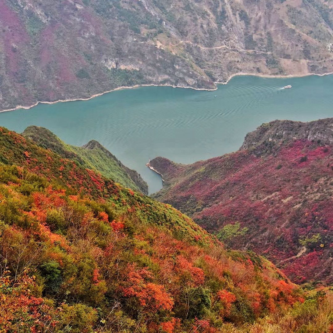 巫山神女景区巫峡红叶步道旅行图片 3