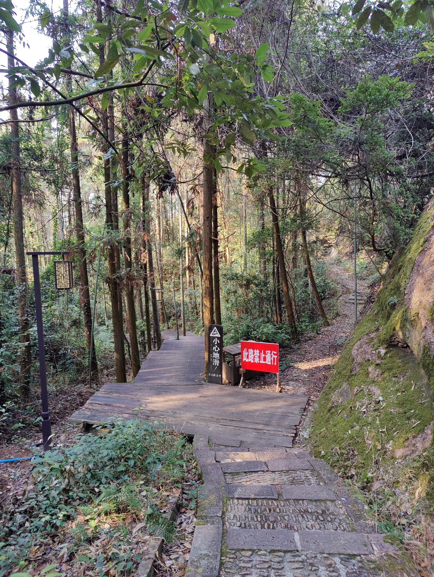 鹰潭市龙虎山景区象鼻山高空木栈道-终点旅行图片 2