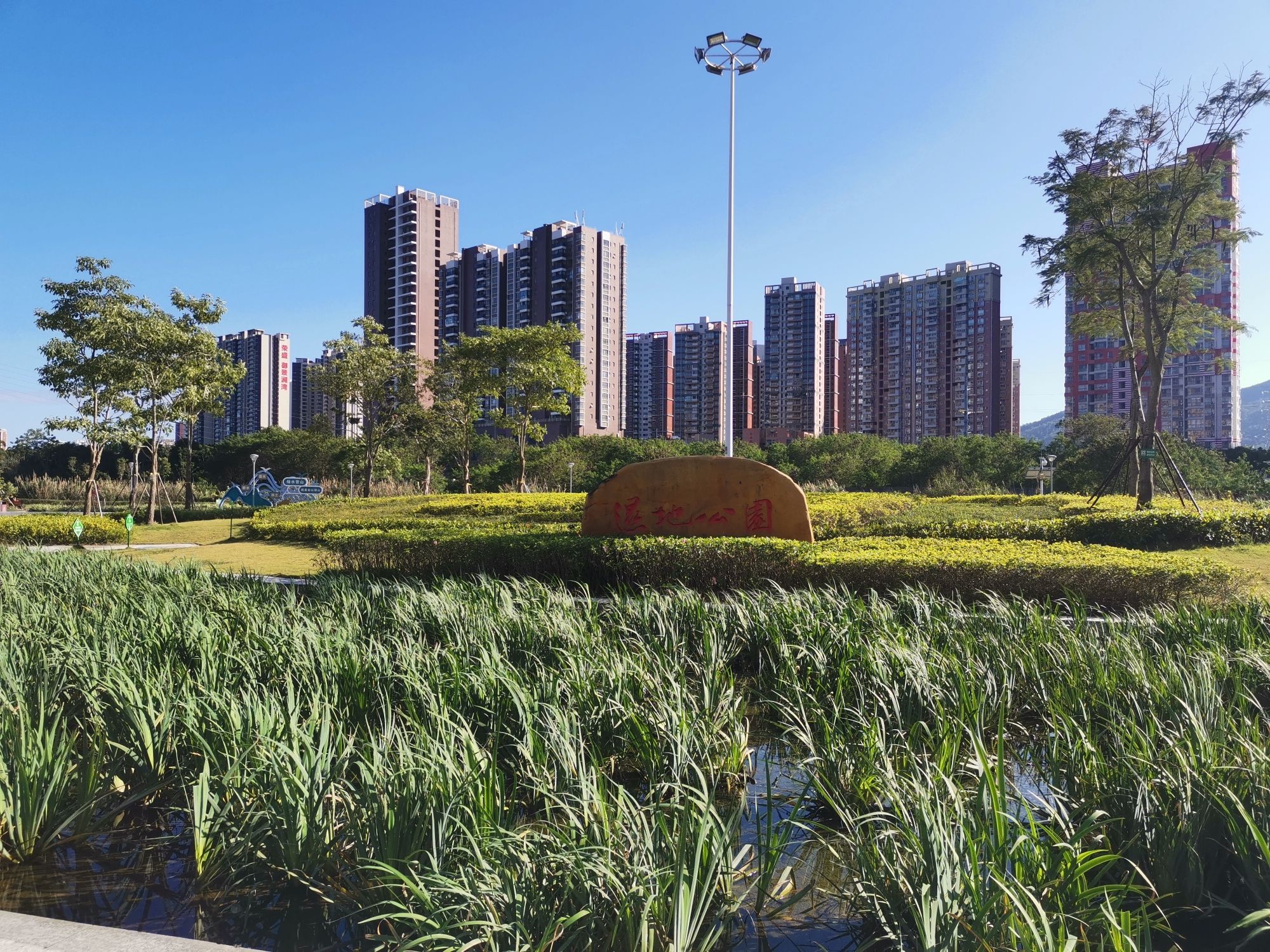 淡澳河生态湿地公园旅行图片 1