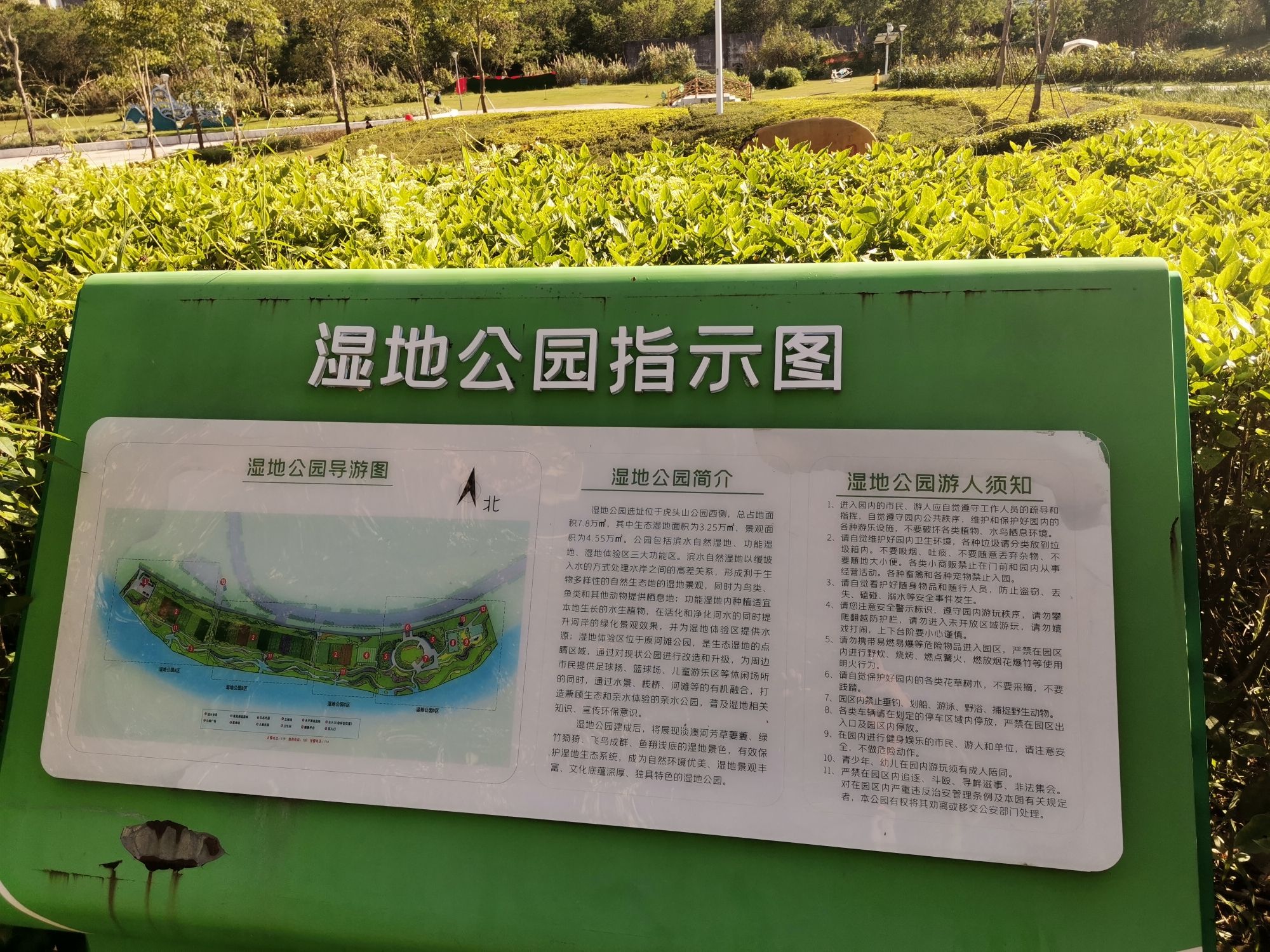 淡澳河生态湿地公园旅行图片 2