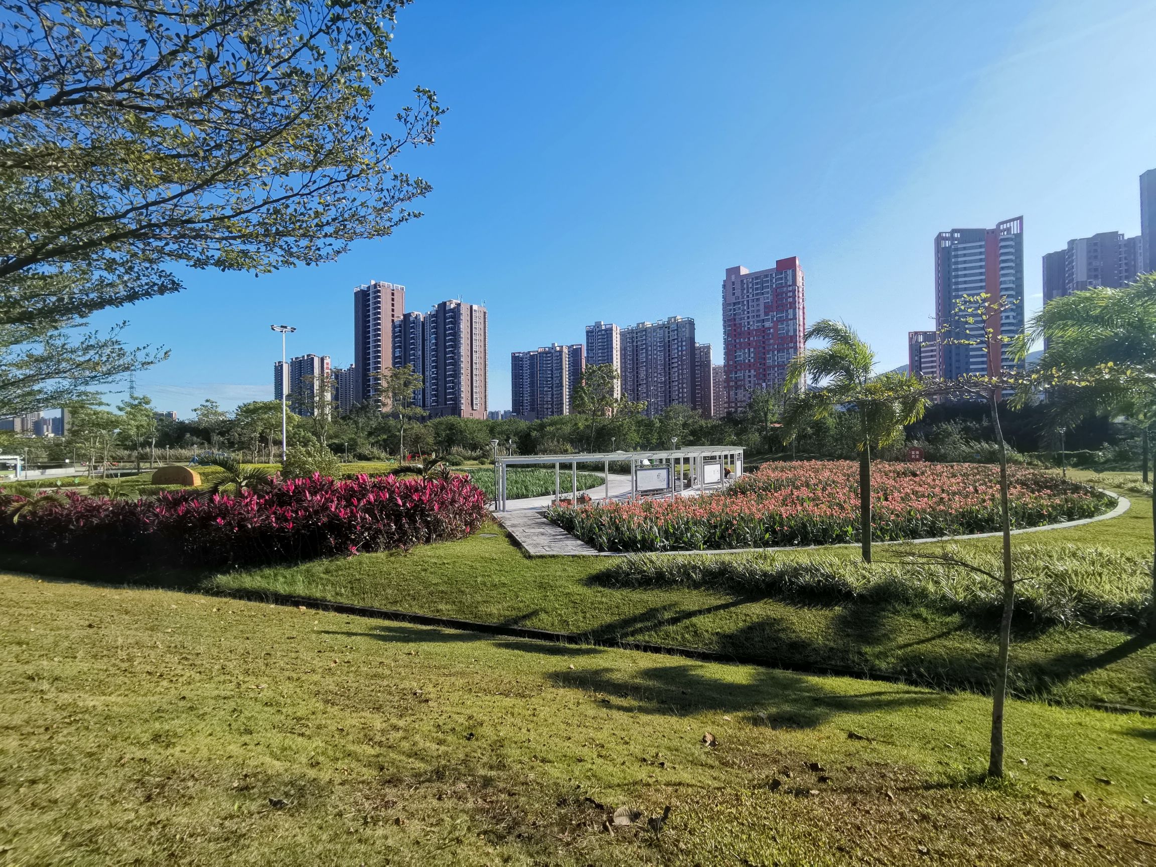 淡澳河生态湿地公园旅行图片 3