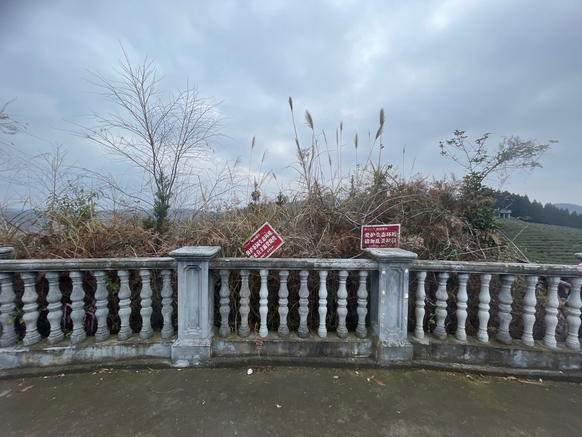 镇妖亭旅行图片 2