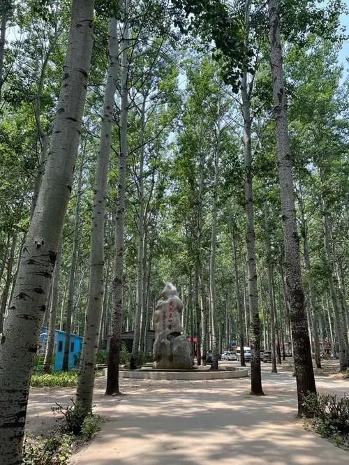 清平森林公园旅行图片 3