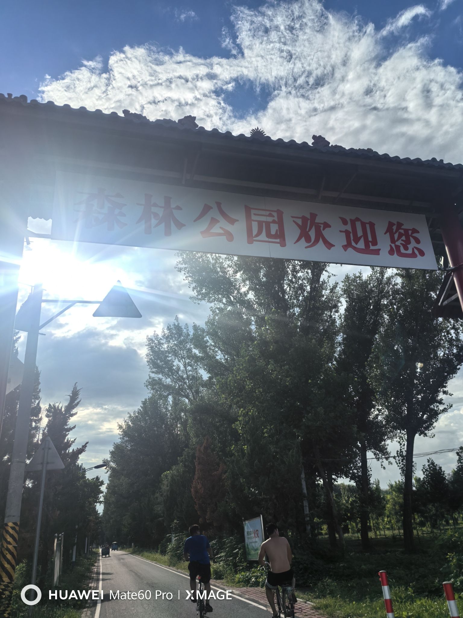 清平森林公园旅行图片 1