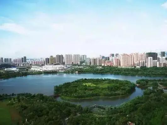 湿地公园