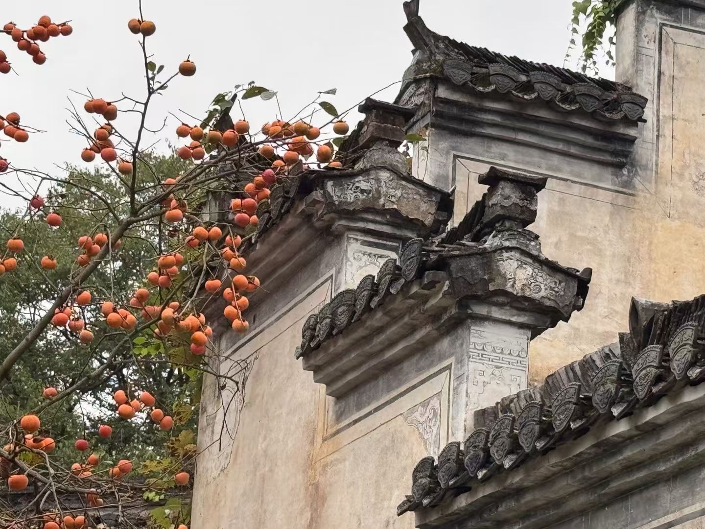 晒工坊观景台旅行图片 1
