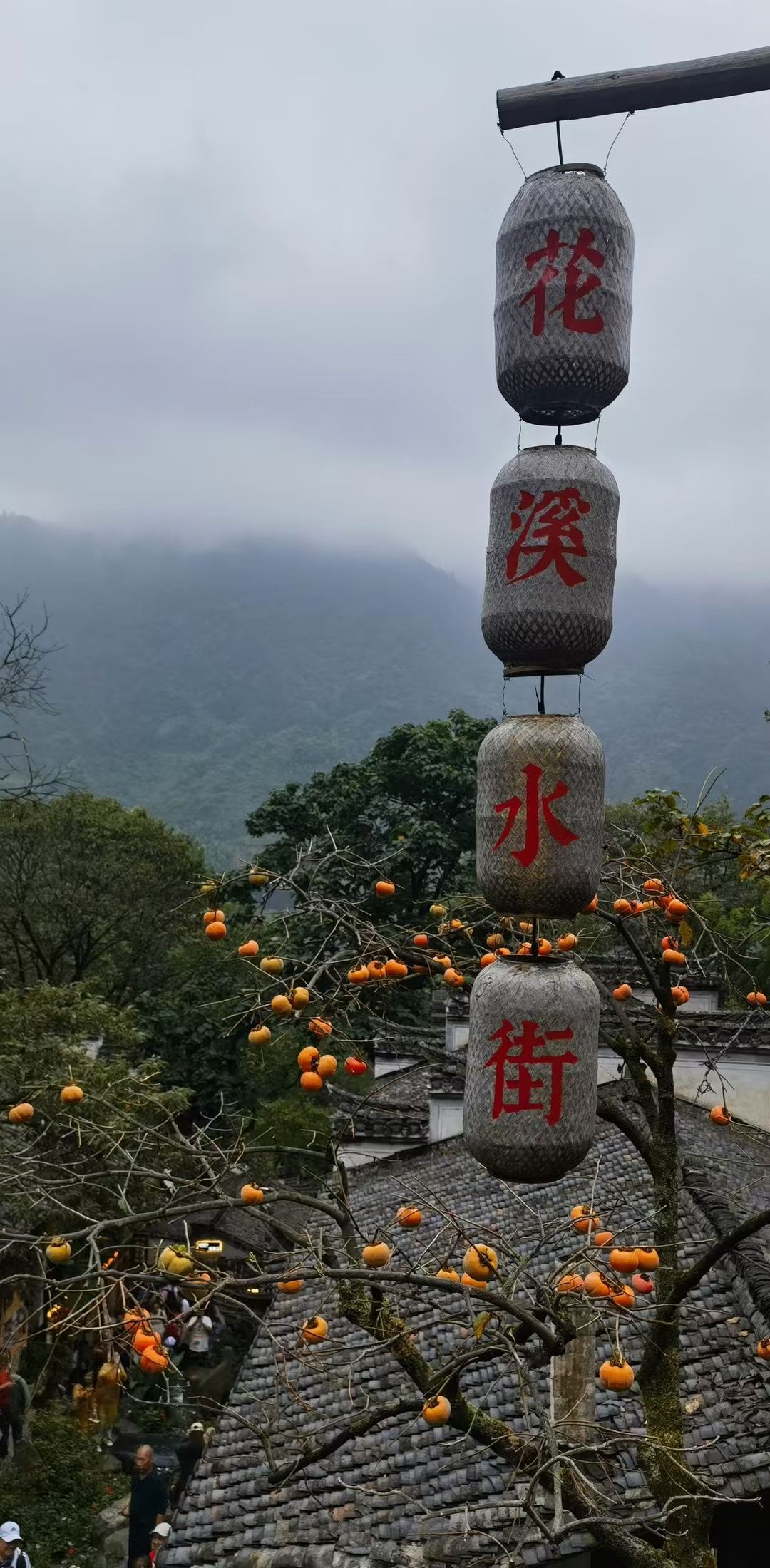 晒工坊观景台旅行图片 2