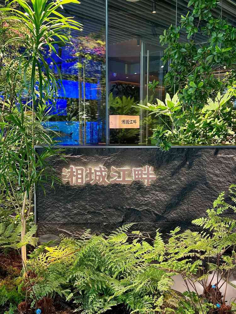 湘城江畔(彩田深科技城店)