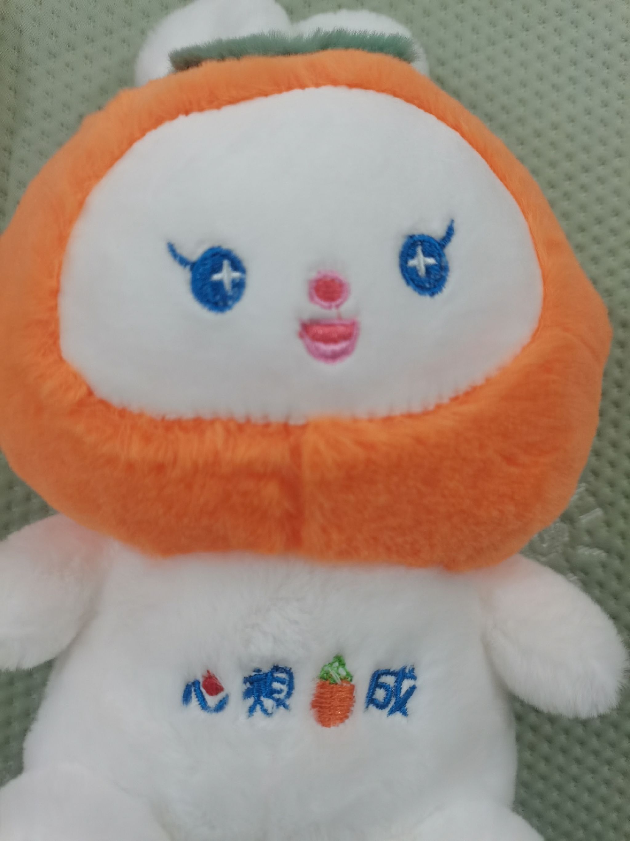 星拓动漫城