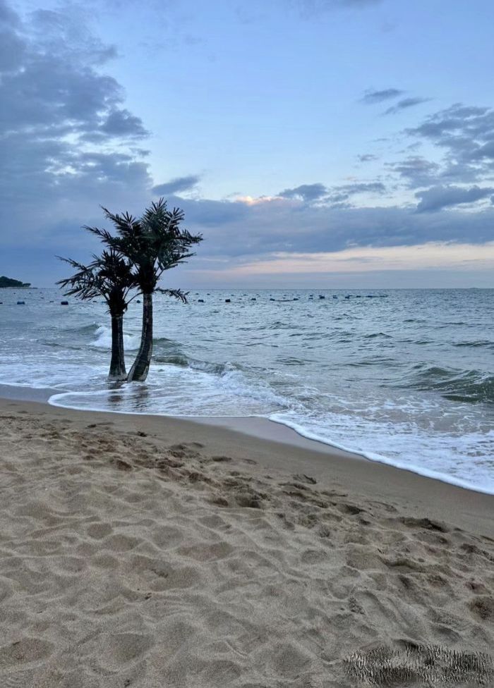 北戴河海滩旅行图片 1