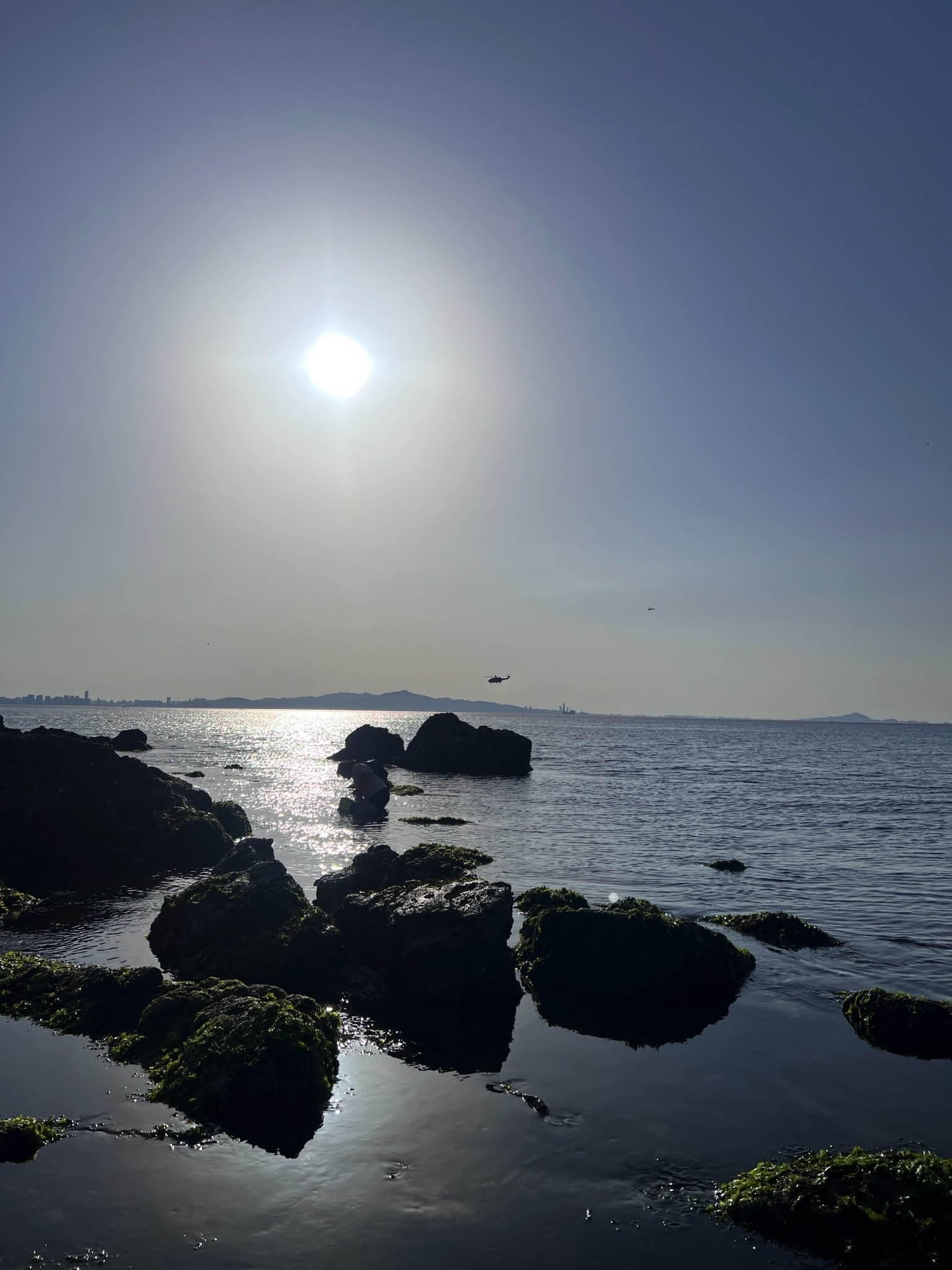 养马岛旅游观光车獐岛景区站