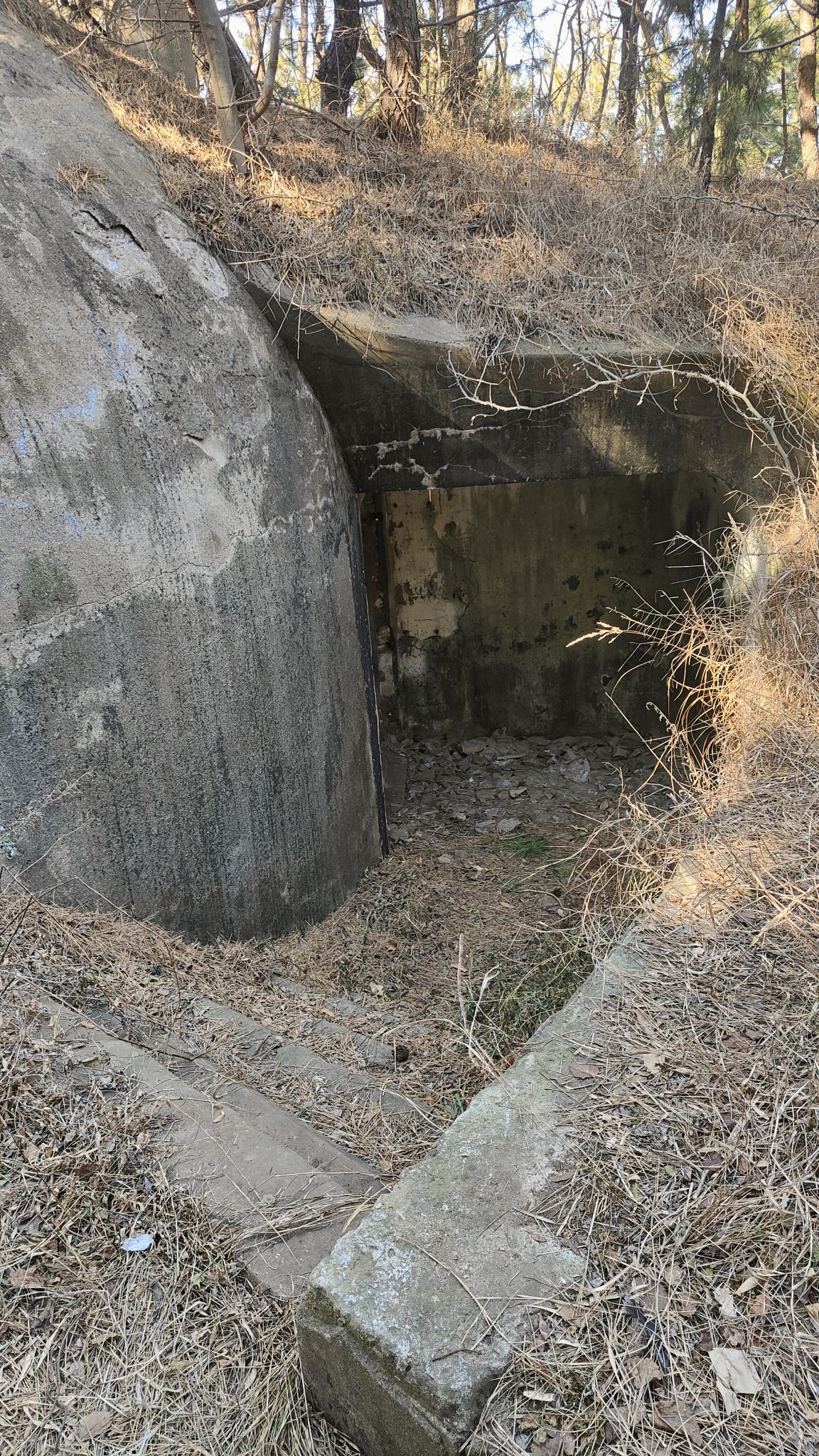 前三羊一号炮台遗址旅行图片 1