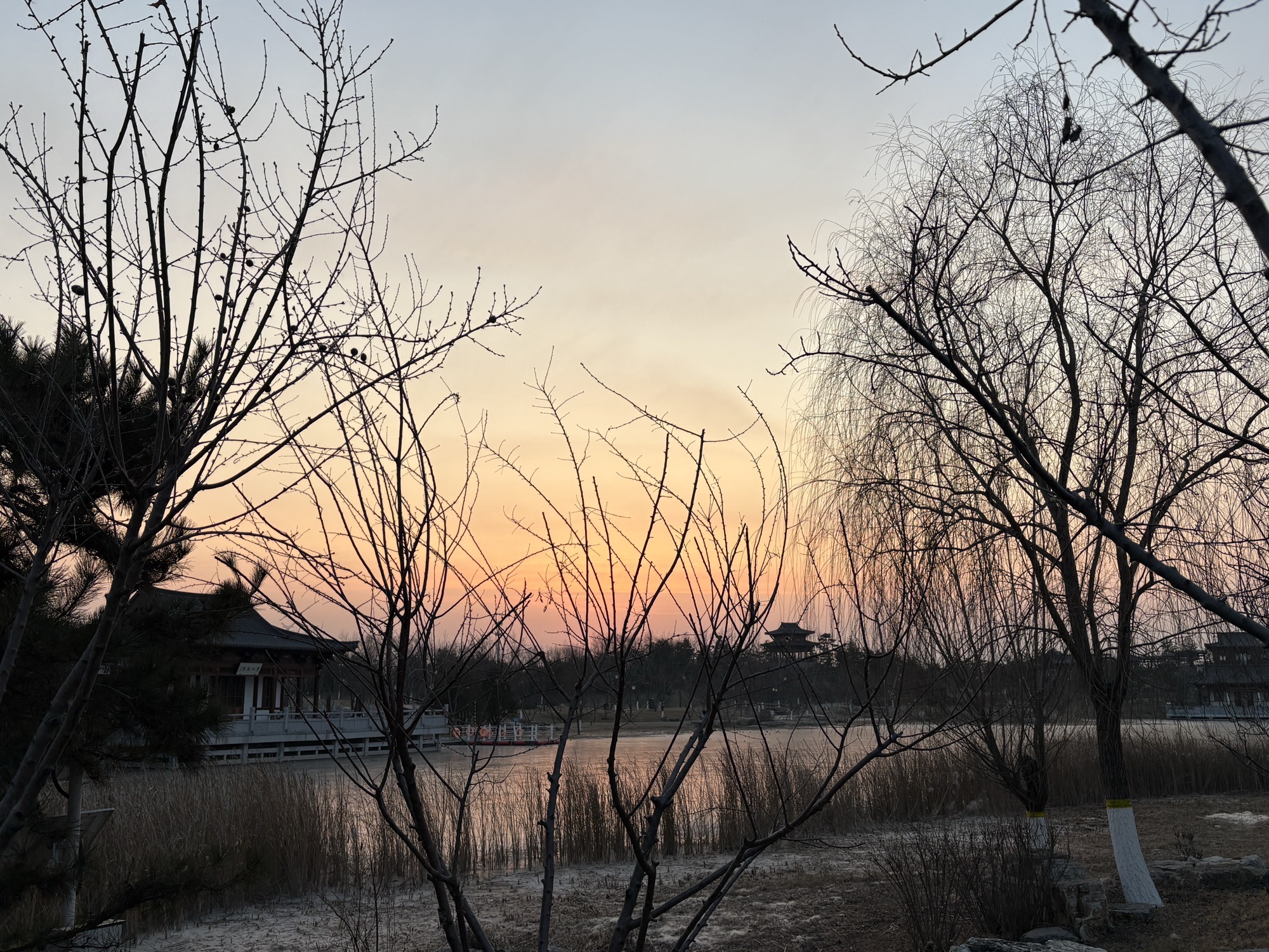 悦容公园-南苑旅行图片 1