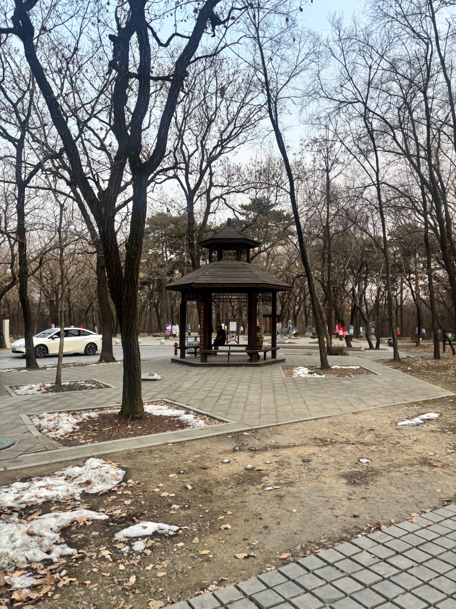 东陵郊野公园-休息亭
