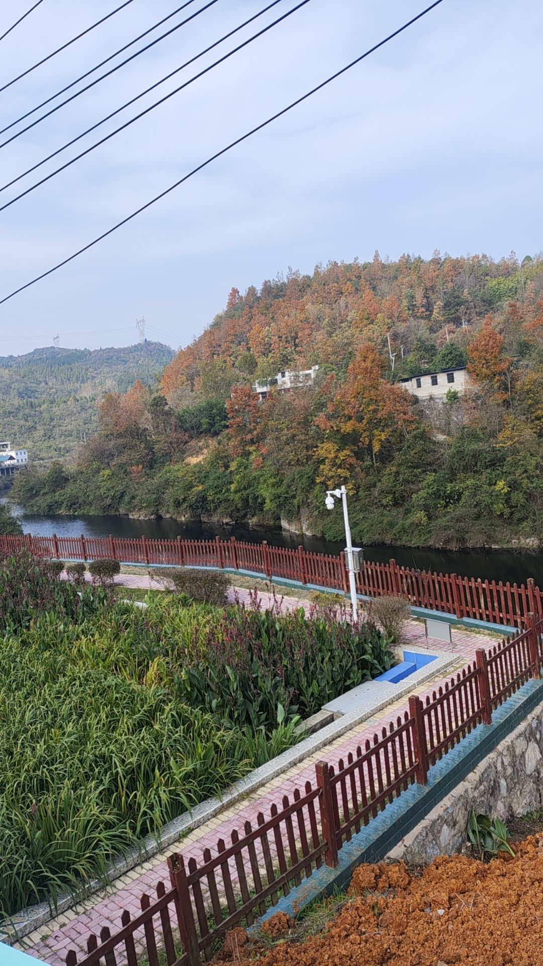 九龙山景区旅行图片 1