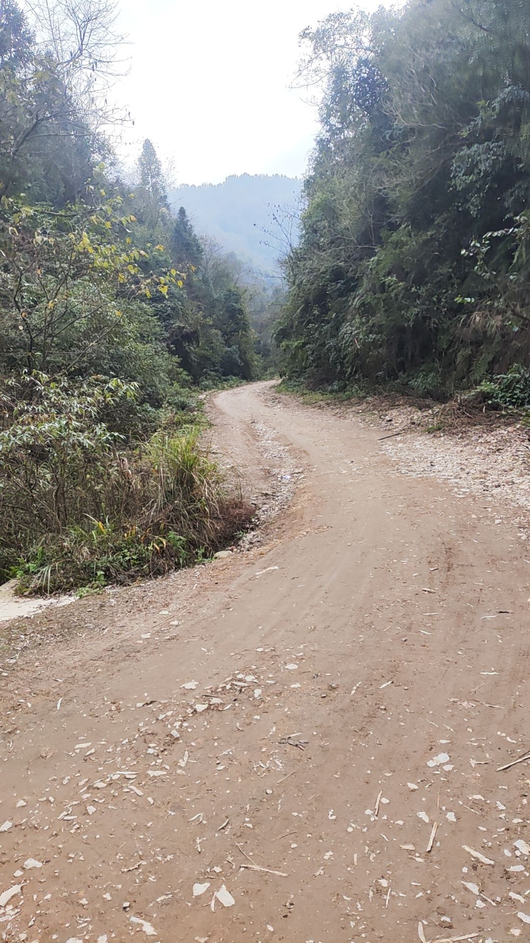 九龙山景区旅行图片 3
