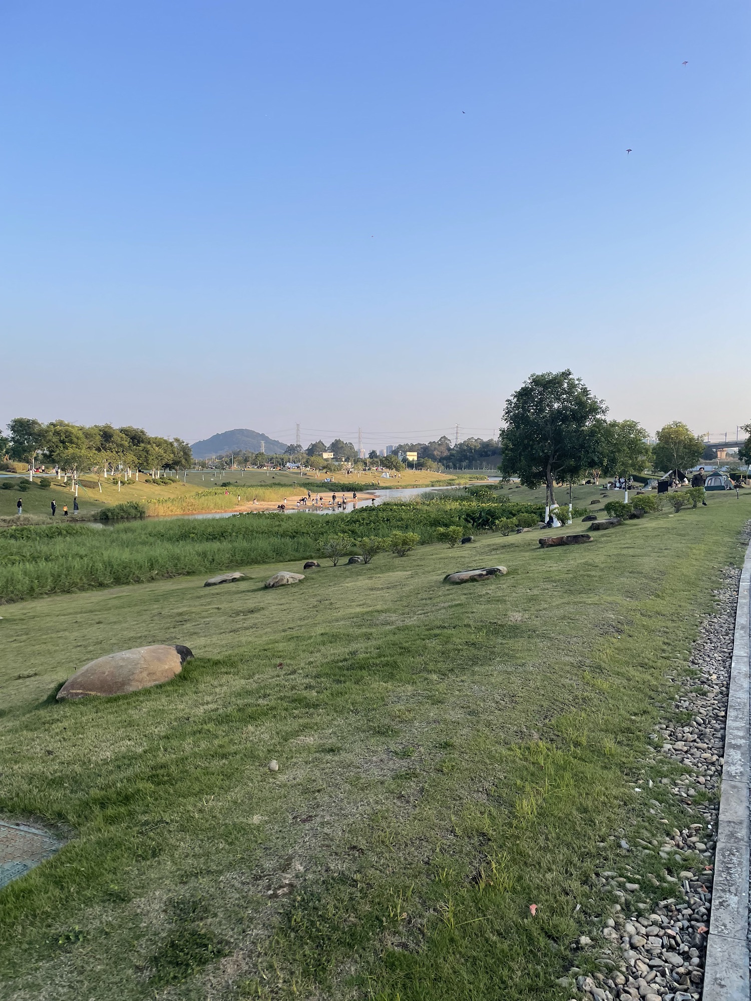 广州市黄埔区洋田野生稻自然保护区旅行图片 1