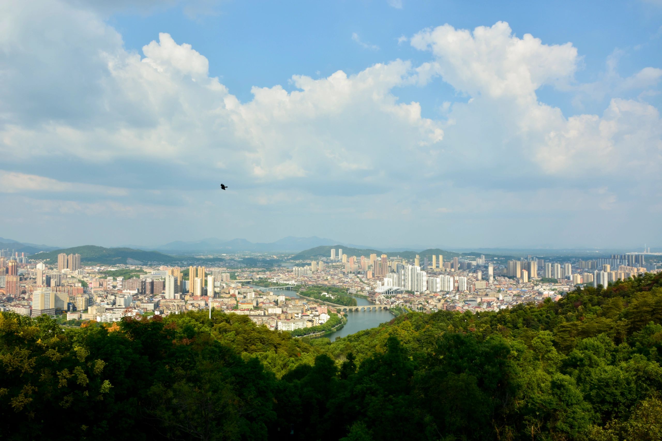 陶子湖公园旅行图片 1