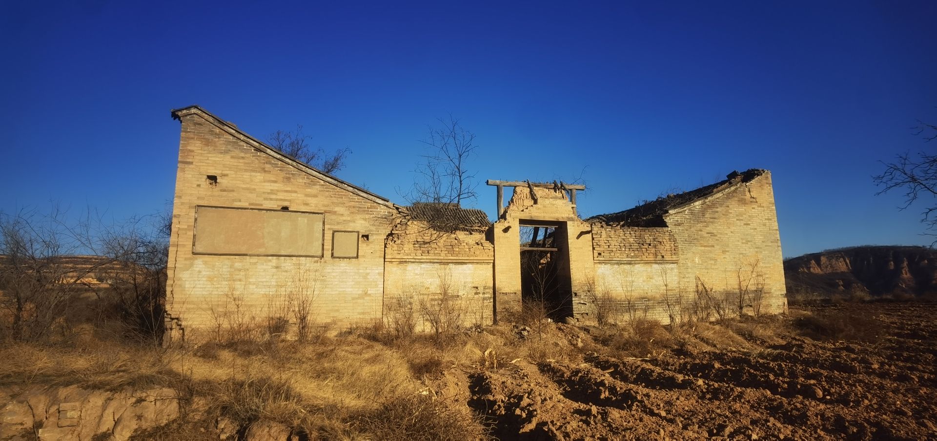 天门荷花旅行图片 2