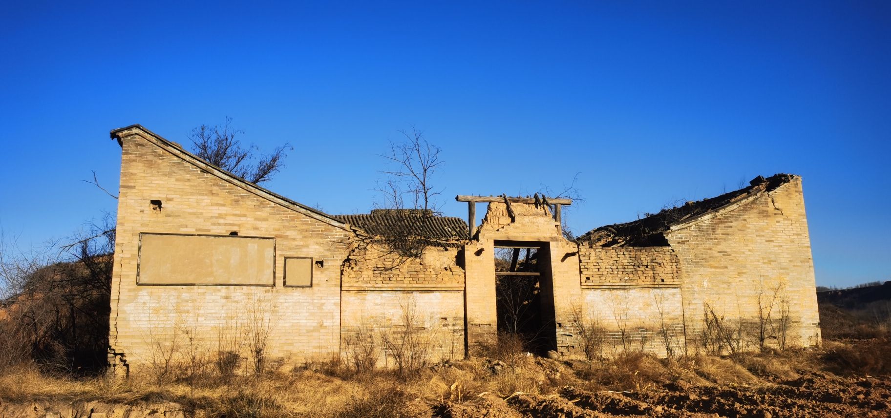 天门荷花旅行图片 1