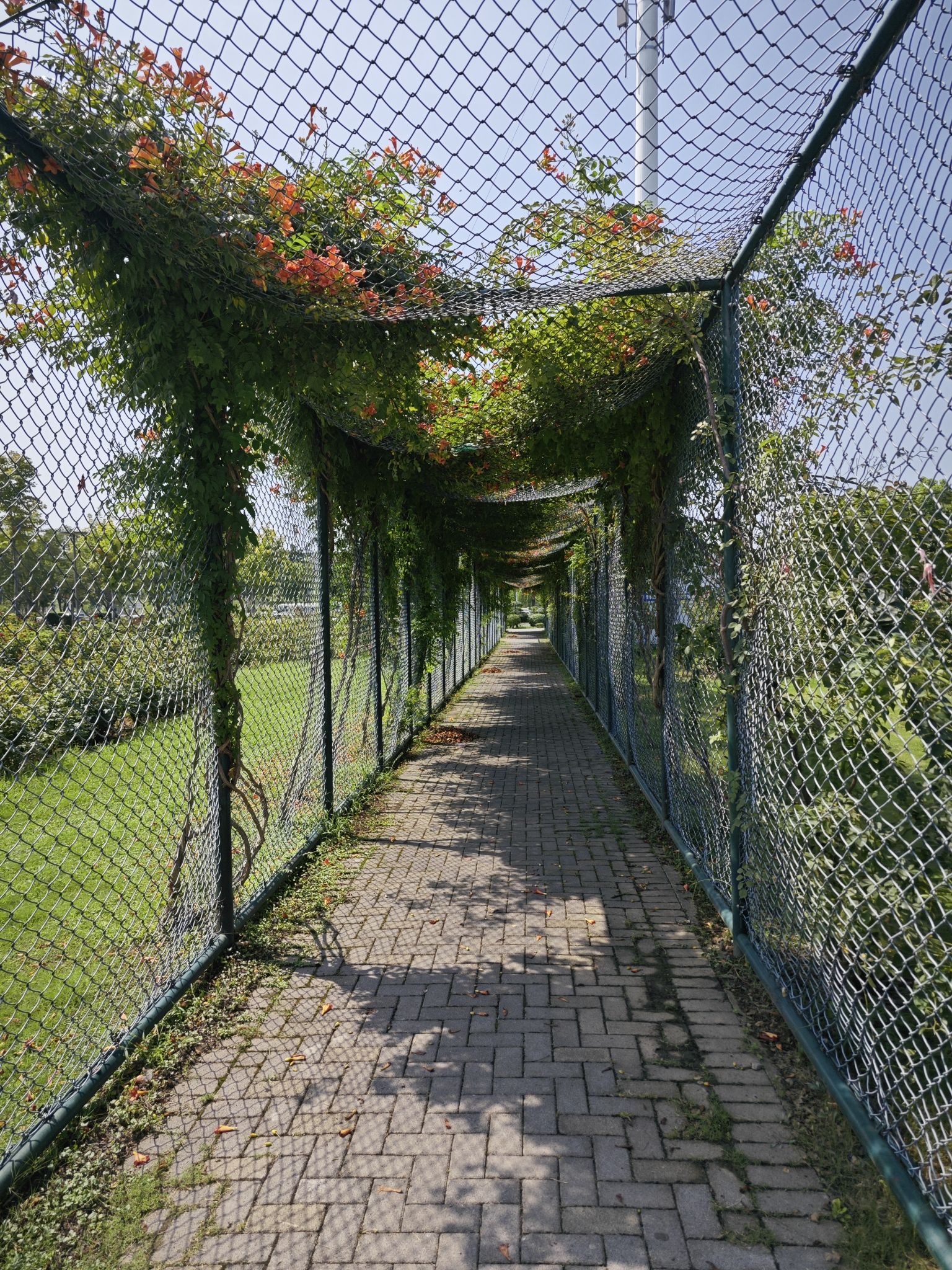 整形植物园旅行图片 2
