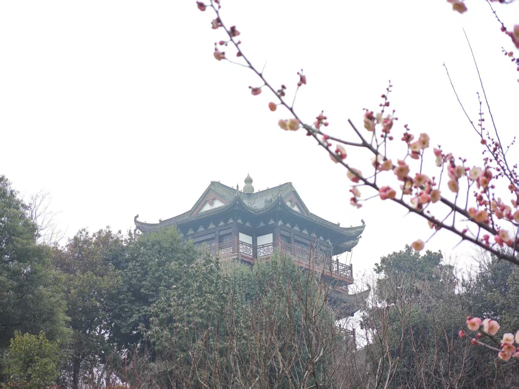 北宋梅尧臣墓旅行图片 3