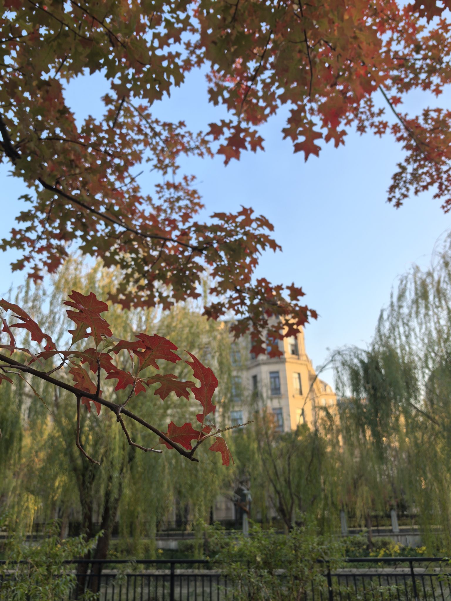 云岭公园旅行图片 1
