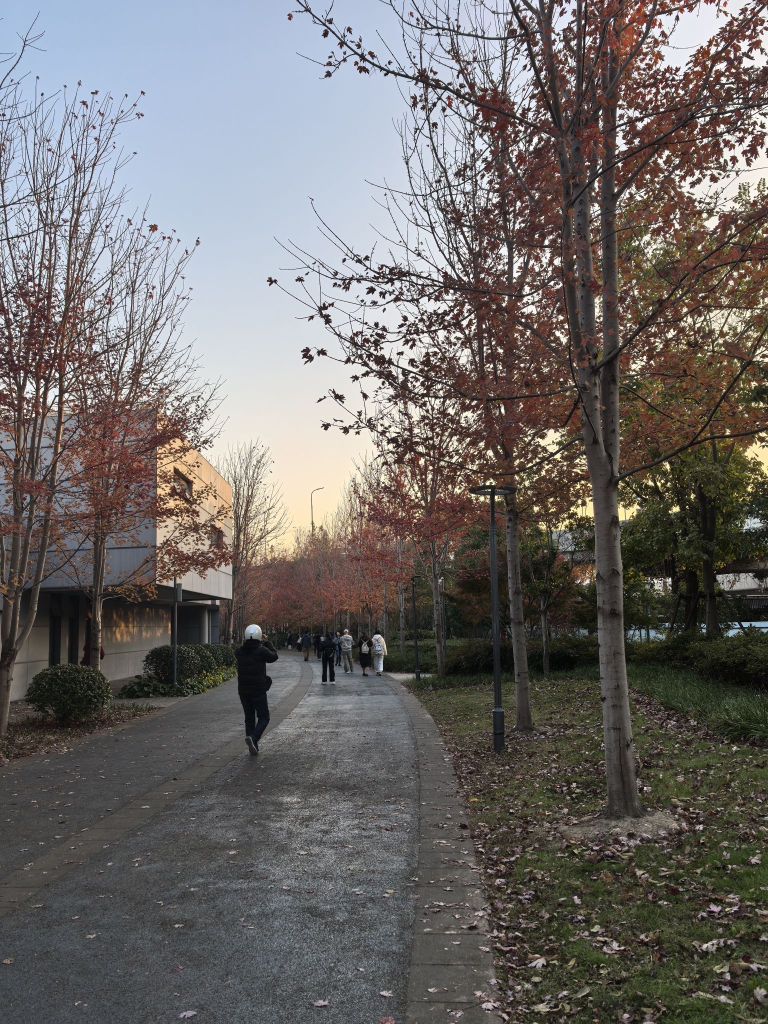 云岭公园旅行图片 3