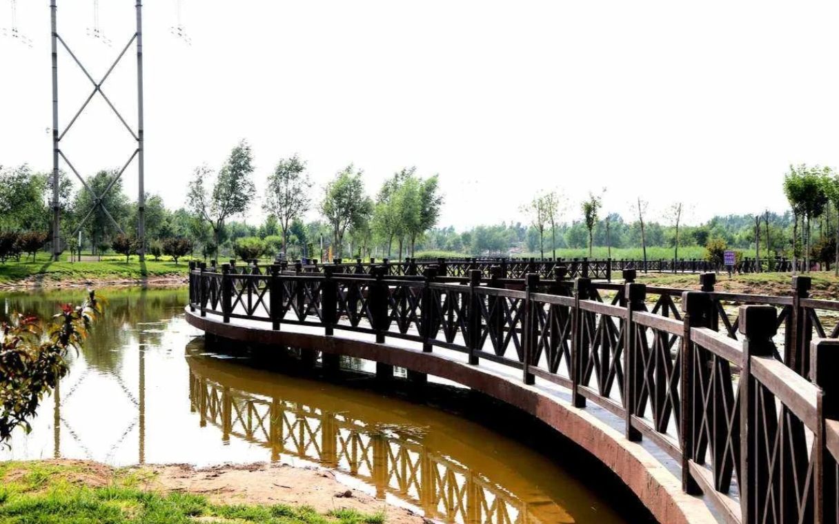 辛集市湿地公园旅行图片 1