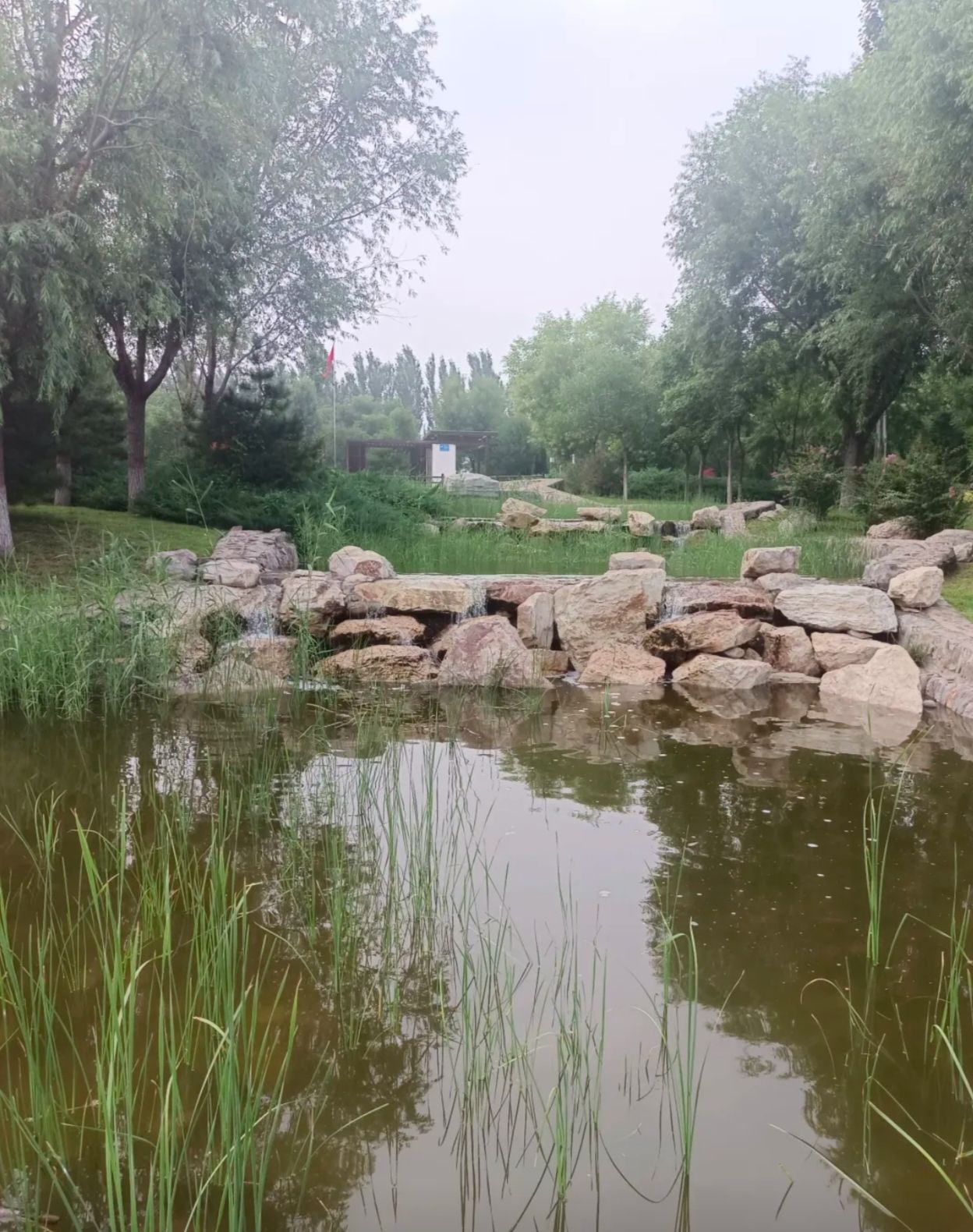 辛集市湿地公园旅行图片 3
