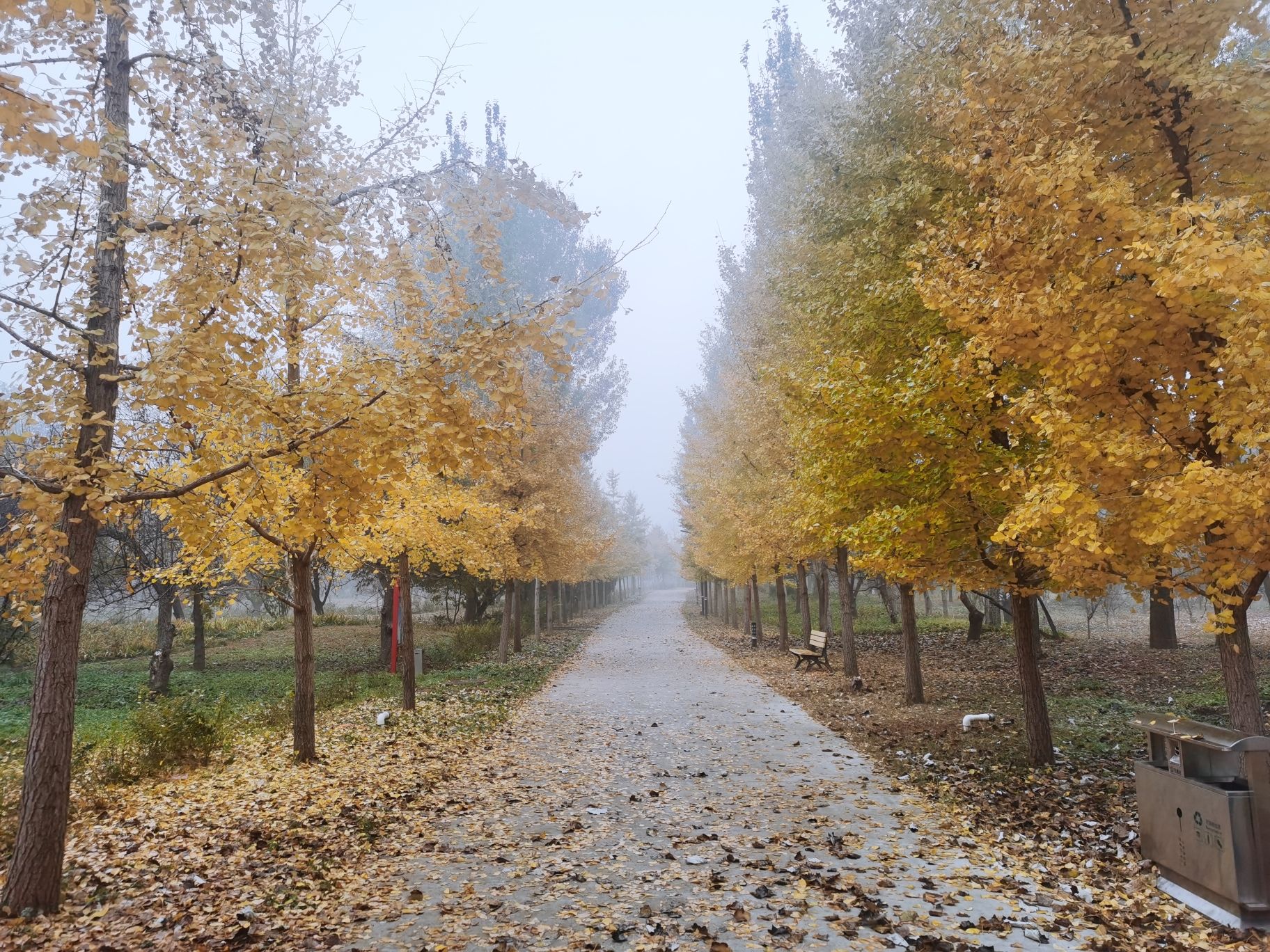 协同发展林旅行图片 2