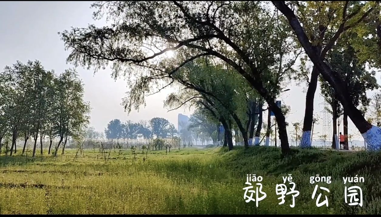 沧州郊野公园