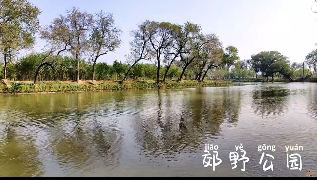 沧州郊野公园