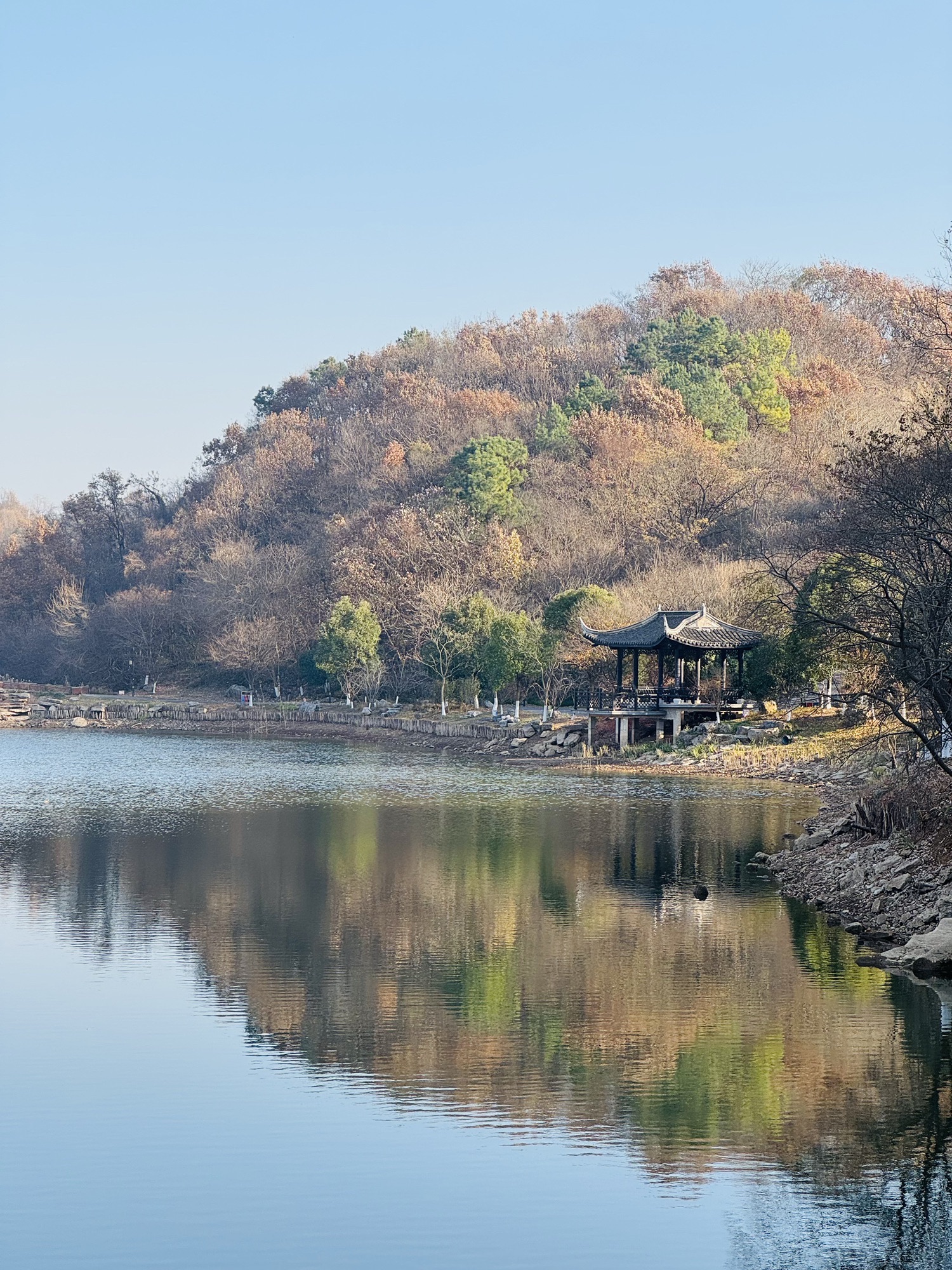 莲花湖旅行图片 3
