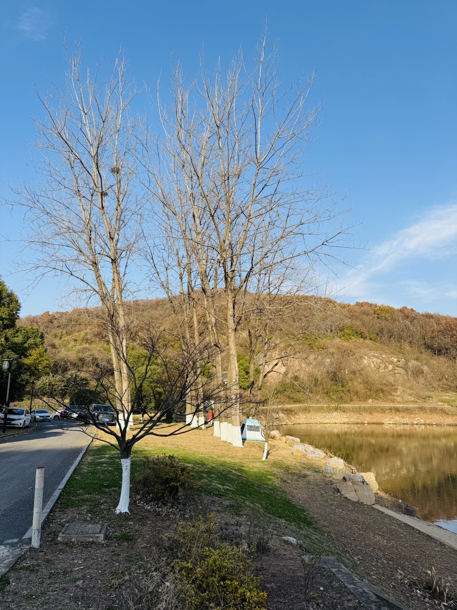 莲花湖旅行图片 2