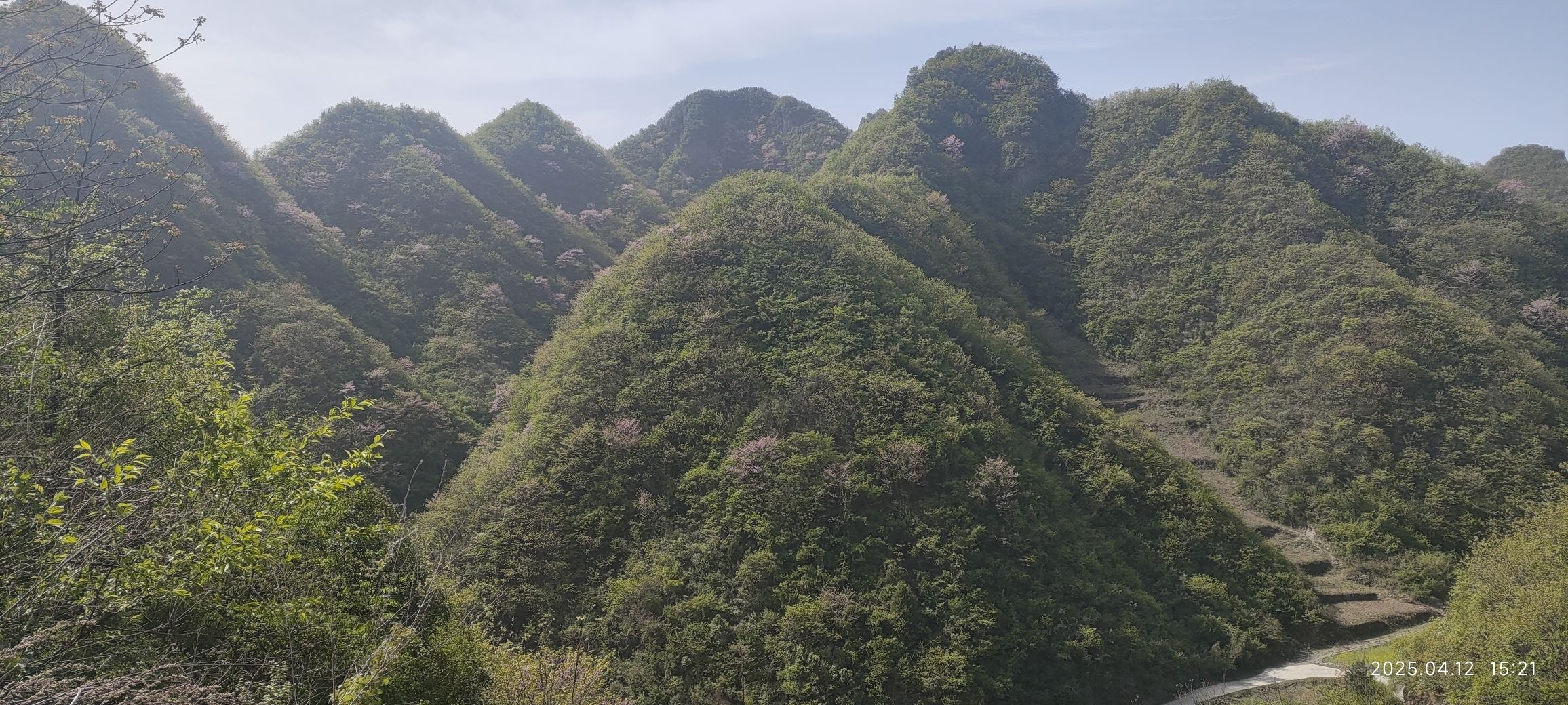 如来寺实景照片