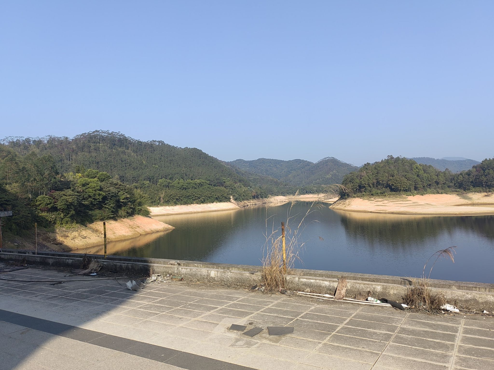 江林湖森林公园旅行图片 1