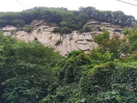 花果山森林公园旅行图片 3