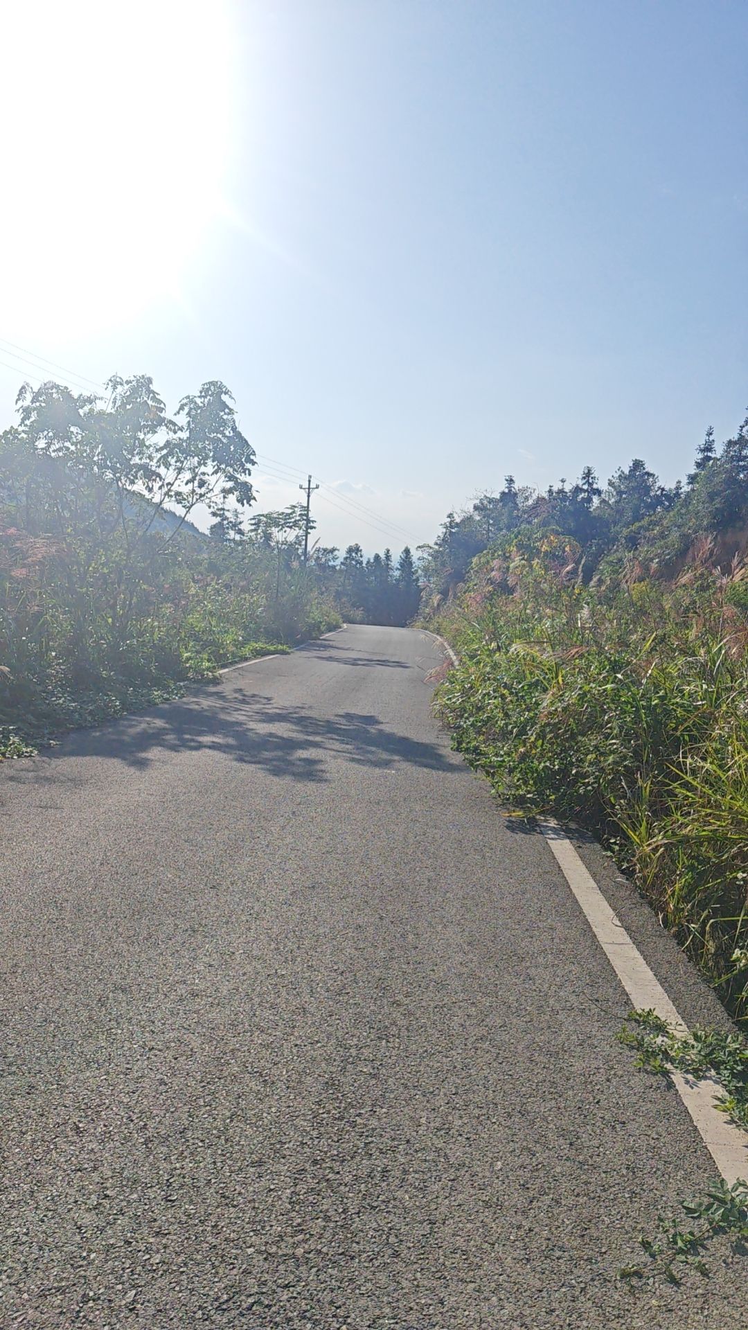 花果山森林公园旅行图片 2