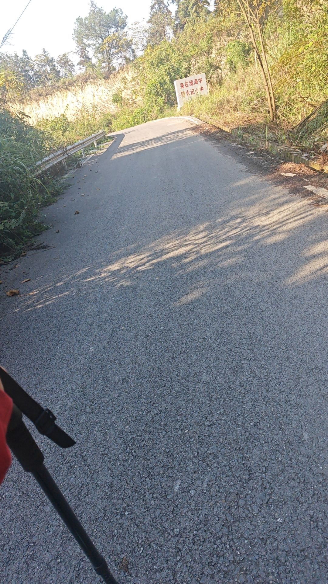 花果山森林公园旅行图片 1