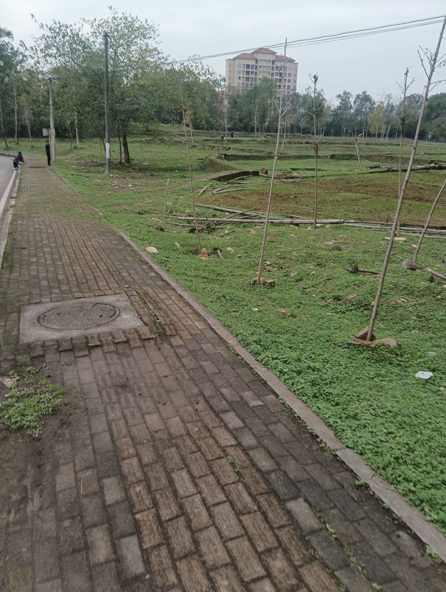 花果山森林公园旅行图片 2