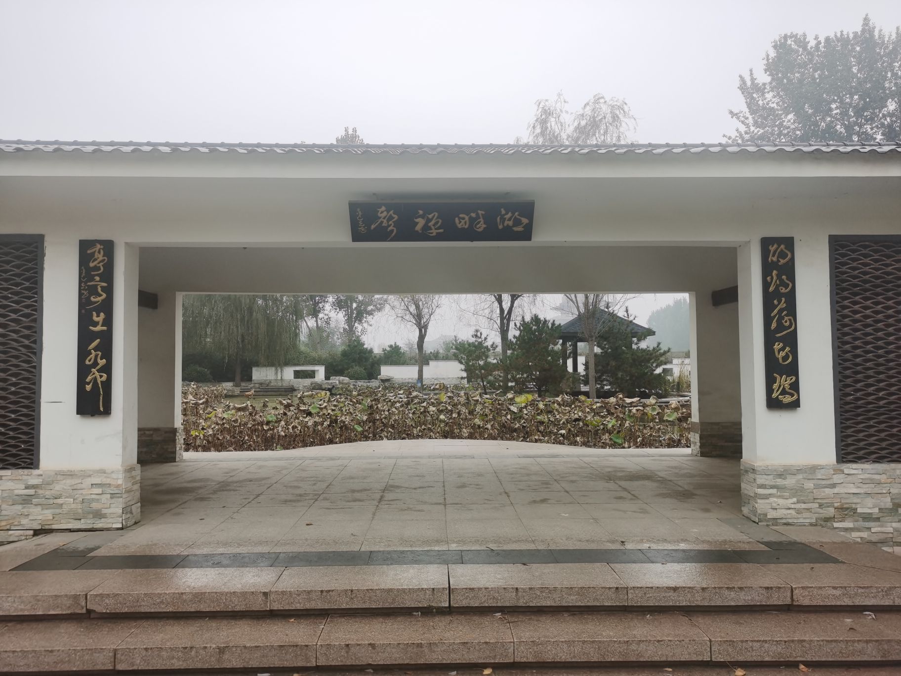廊坊市自然公园西区-湖畔禅声