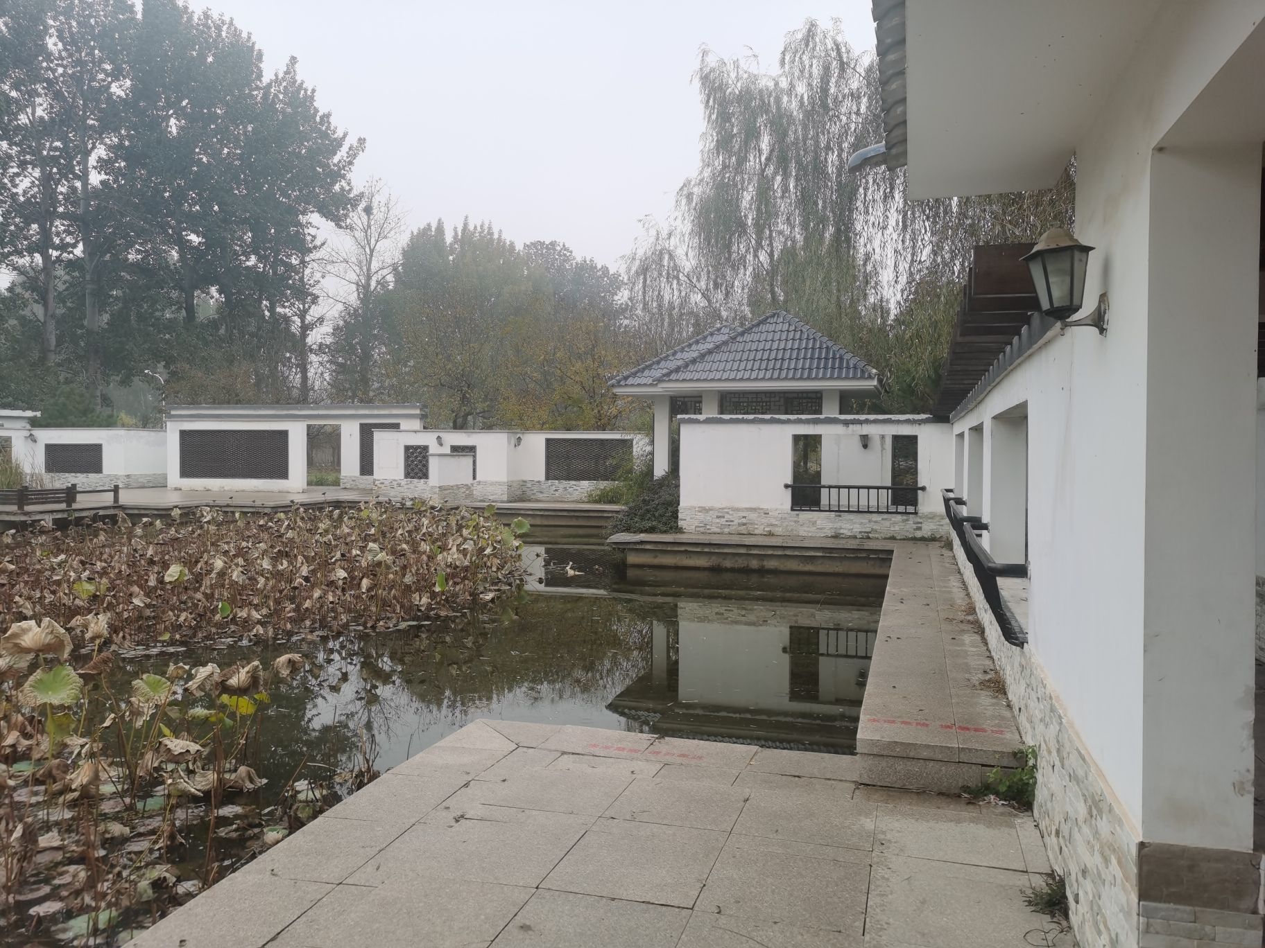湖畔禅声旅行图片 2