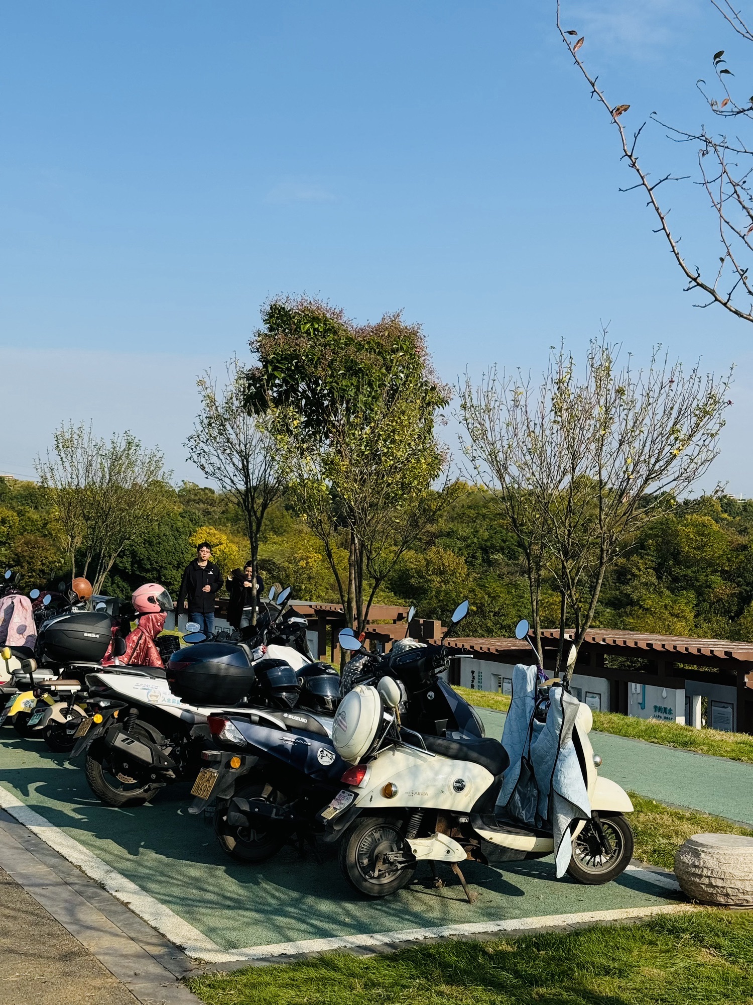 大坝观景旅行图片 2