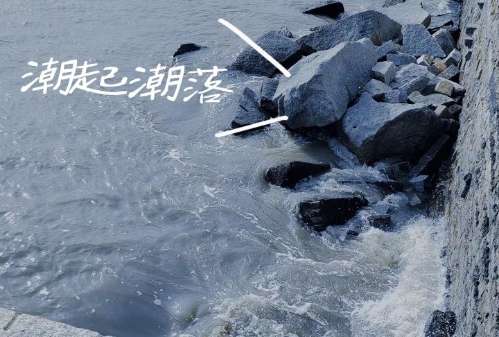 东石海滩旅行图片 3