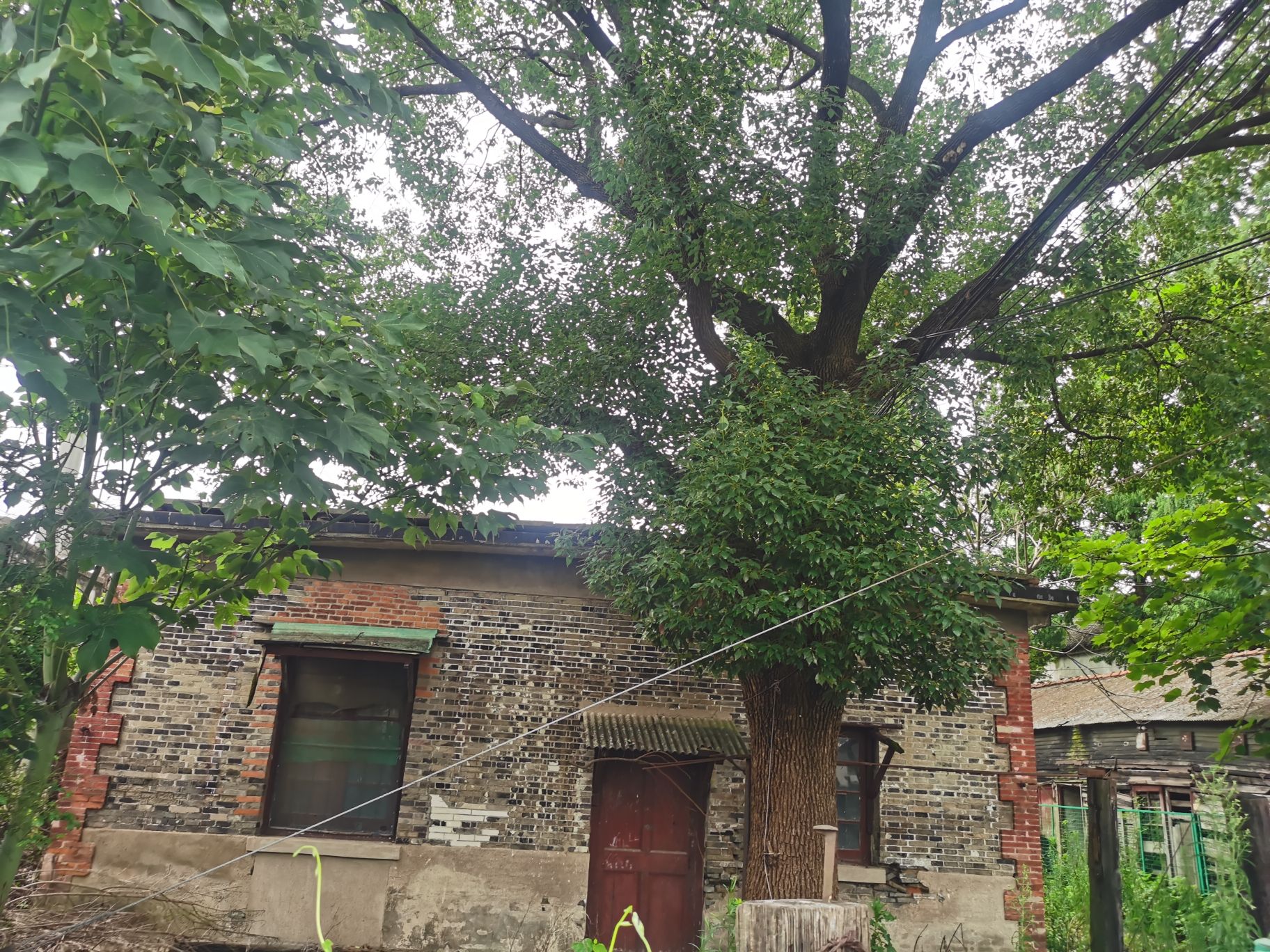 正仪火车站旧址旅行图片 3