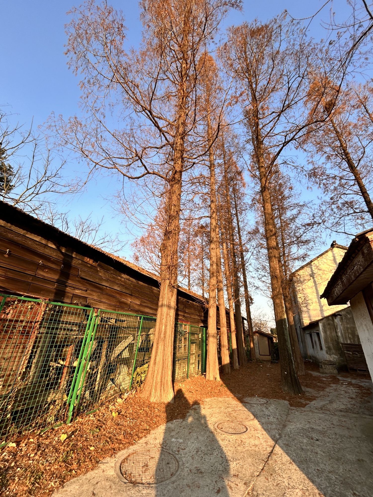 正仪火车站旧址旅行图片 3